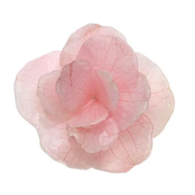 Alternate image for Thai Resin Coated Natural Pink Hydrangea Bloom Brooch Pin Pale Pink Hydrangea