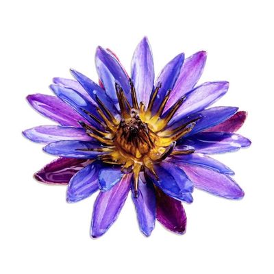 Alternate image for Spring-Themed Resin-Coated Purple Waterlily Bloom Brooch Pin Magical Rebirth
