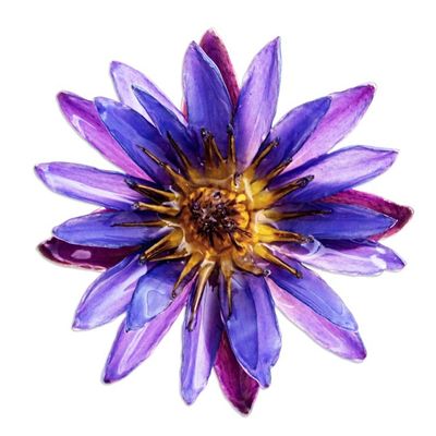 Alternate image for Spring-Themed Resin-Coated Purple Waterlily Bloom Brooch Pin Magical Rebirth